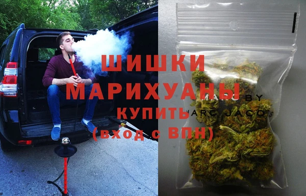 spice Аркадак