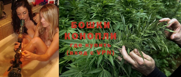 spice Аркадак