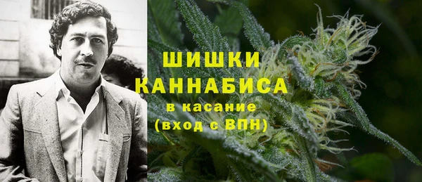 spice Аркадак