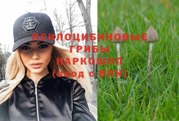 шишки Армянск