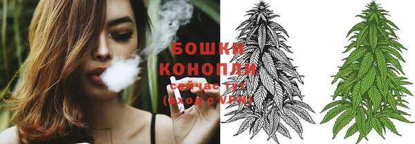 шишки Армянск