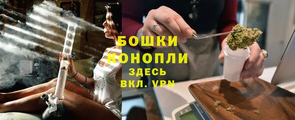 spice Аркадак